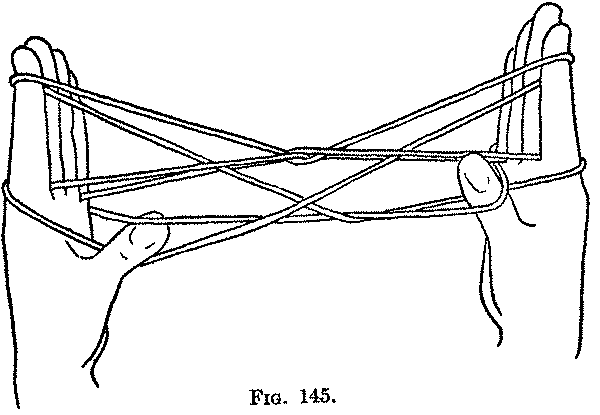 Fig. 145