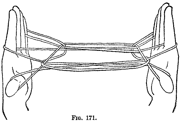 Fig. 171