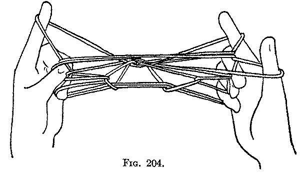 Fig. 204
