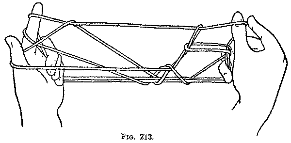 Fig. 213