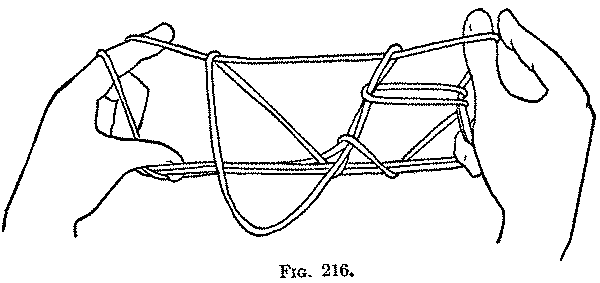 Fig. 216