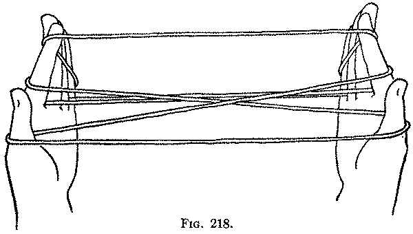 Fig. 218