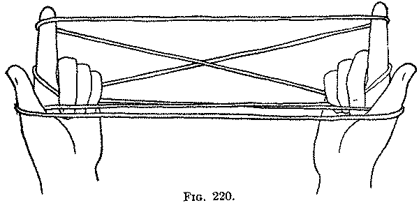 Fig. 220