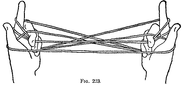 Fig. 223