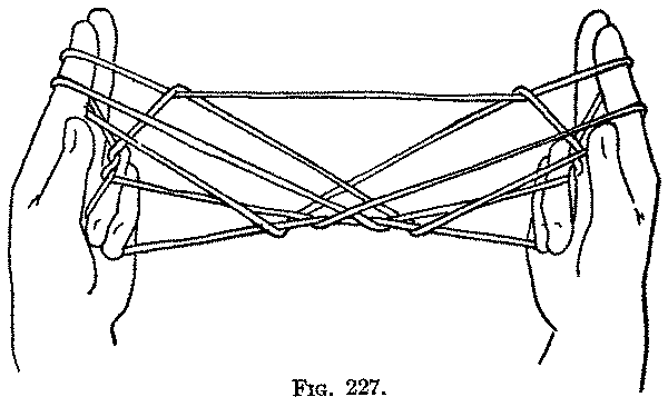 Fig. 227