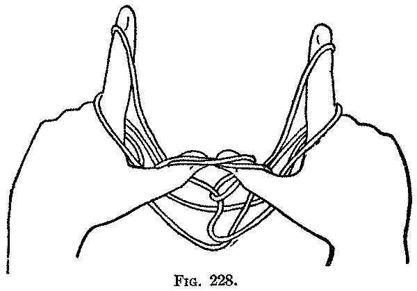 Fig. 228