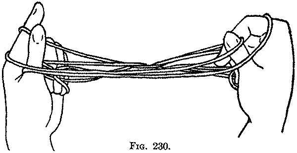 Fig. 230