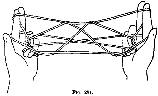 Fig. 231