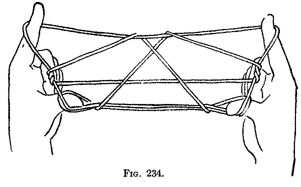 Fig. 234