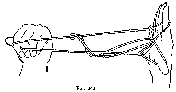 Fig. 242