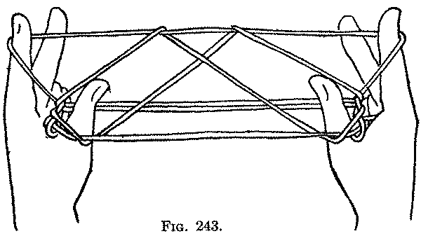 Fig. 243