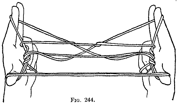 Fig. 244