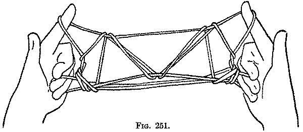Fig. 251