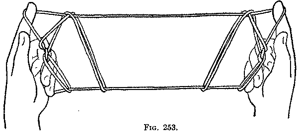 Fig. 253