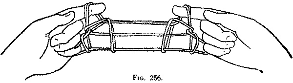 Fig. 256