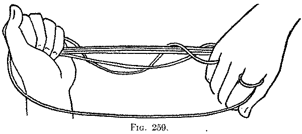 Fig. 259