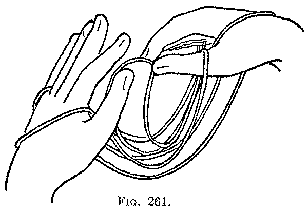 Fig. 261