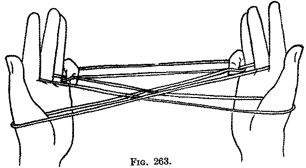 Fig. 263