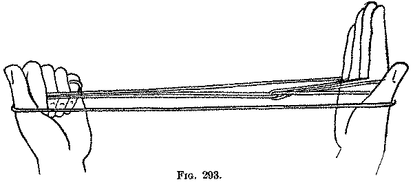 Fig. 293