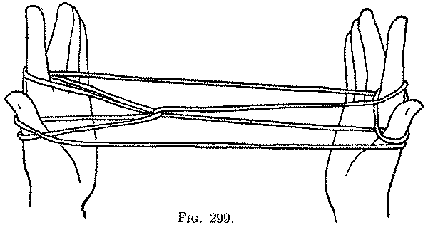 Fig. 299