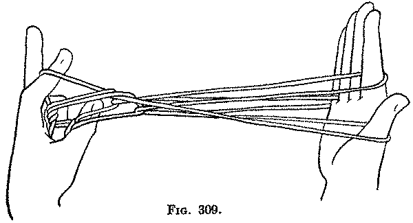 Fig. 309