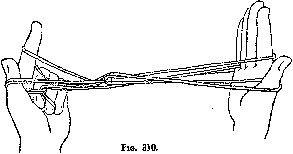 Fig. 310