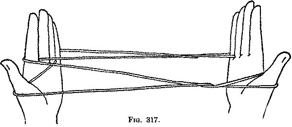 Fig. 317