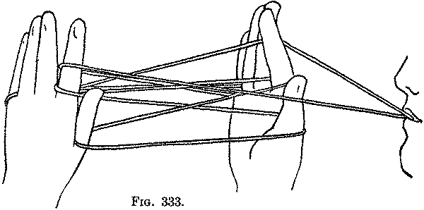 Fig. 333
