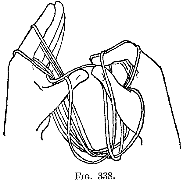 Fig. 338