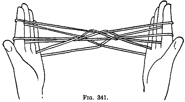 Fig. 341