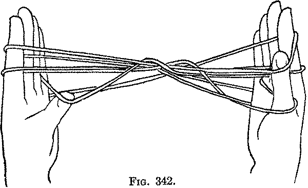 Fig. 342