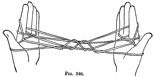 Fig. 346