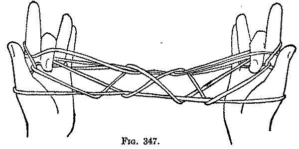 Fig. 347