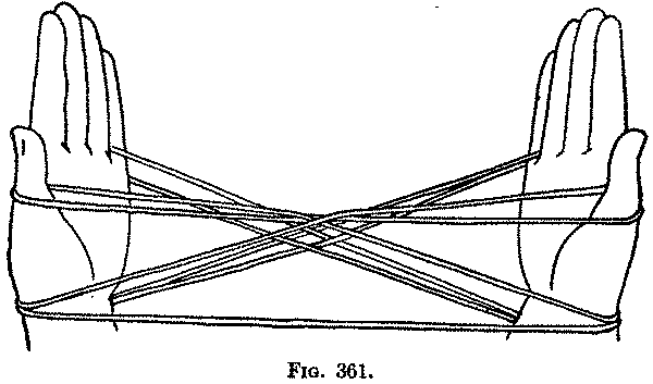 Fig. 361