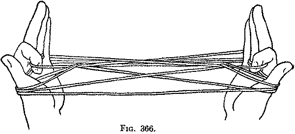 Fig. 366