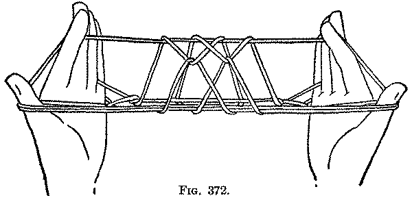 Fig. 372