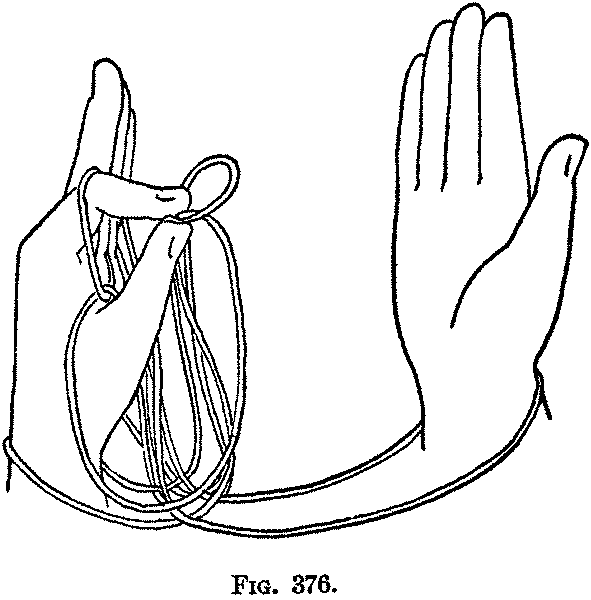 Fig. 376