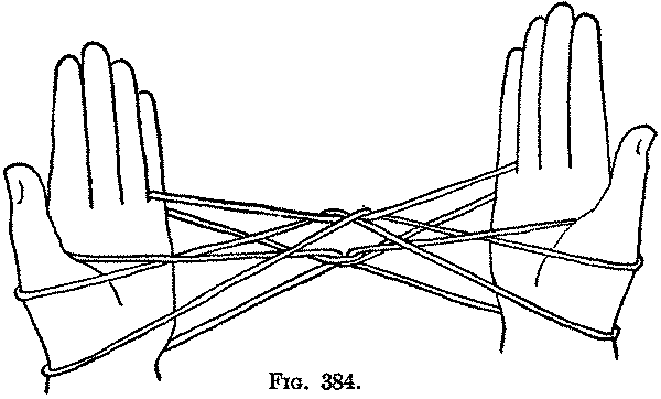 Fig. 384