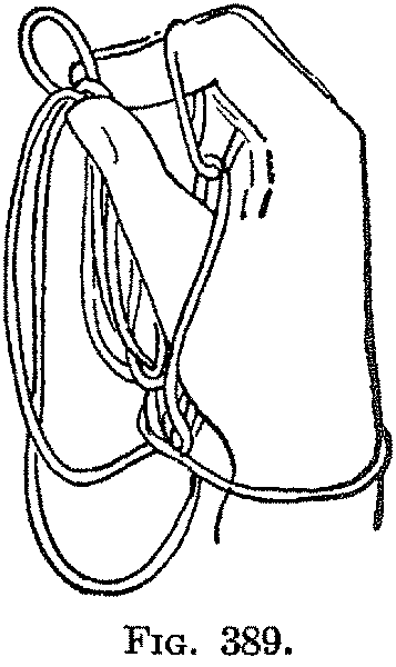 Fig. 389