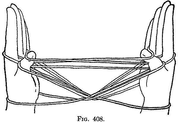 Fig. 408