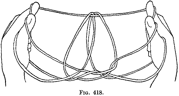 Fig. 418