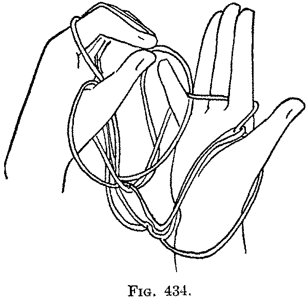 Fig. 434