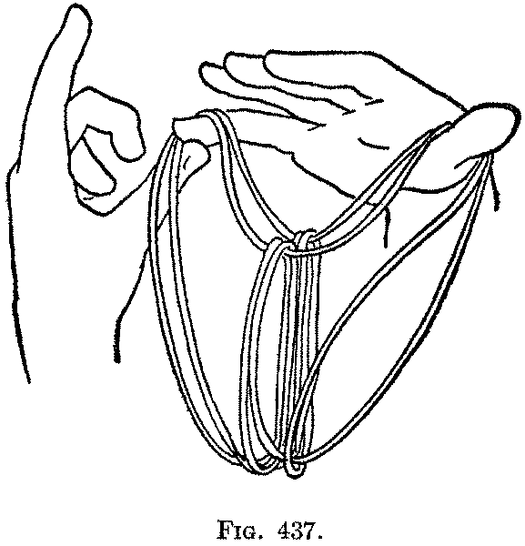 Fig. 437