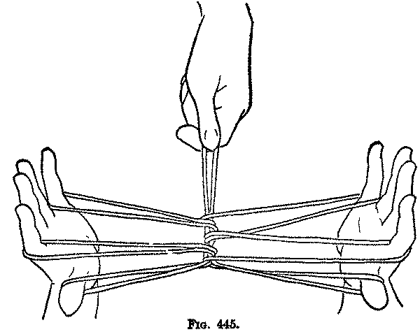Fig. 445