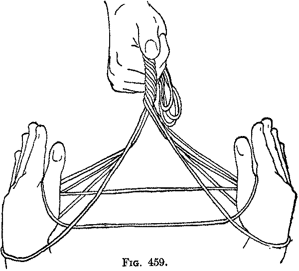 Fig. 459
