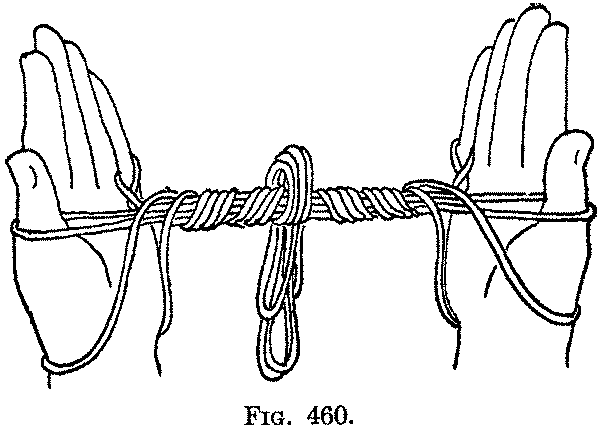 Fig. 460