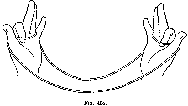 Fig. 464