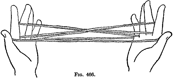 Fig. 466