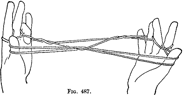 Fig. 487