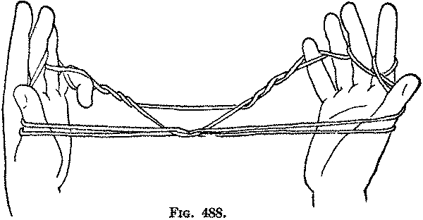 Fig. 488